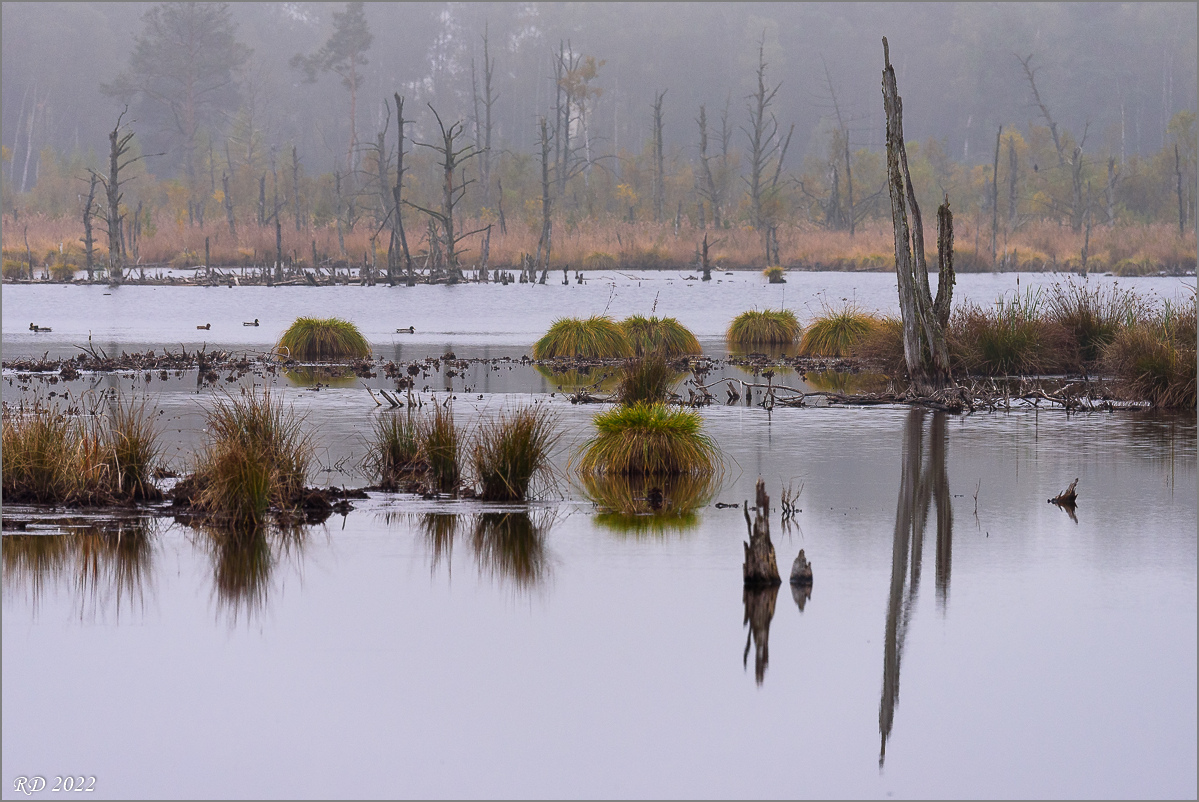 D75_2780.jpg