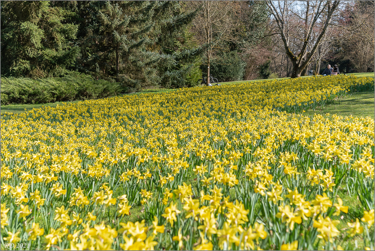 D75_3124.jpg