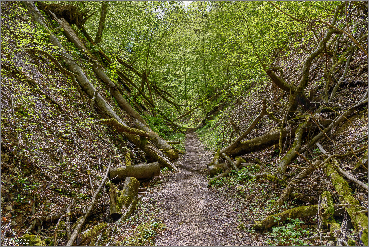 D75_3270.jpg