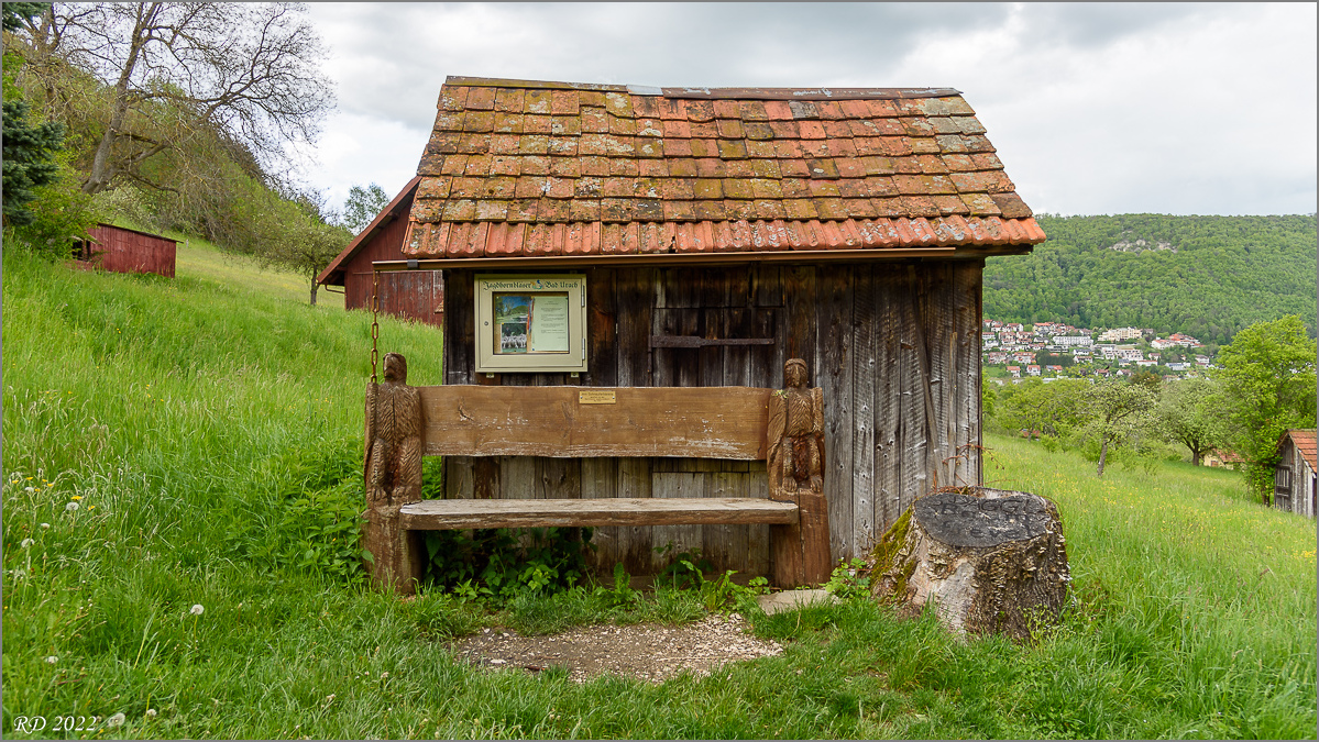 D75_3527.jpg