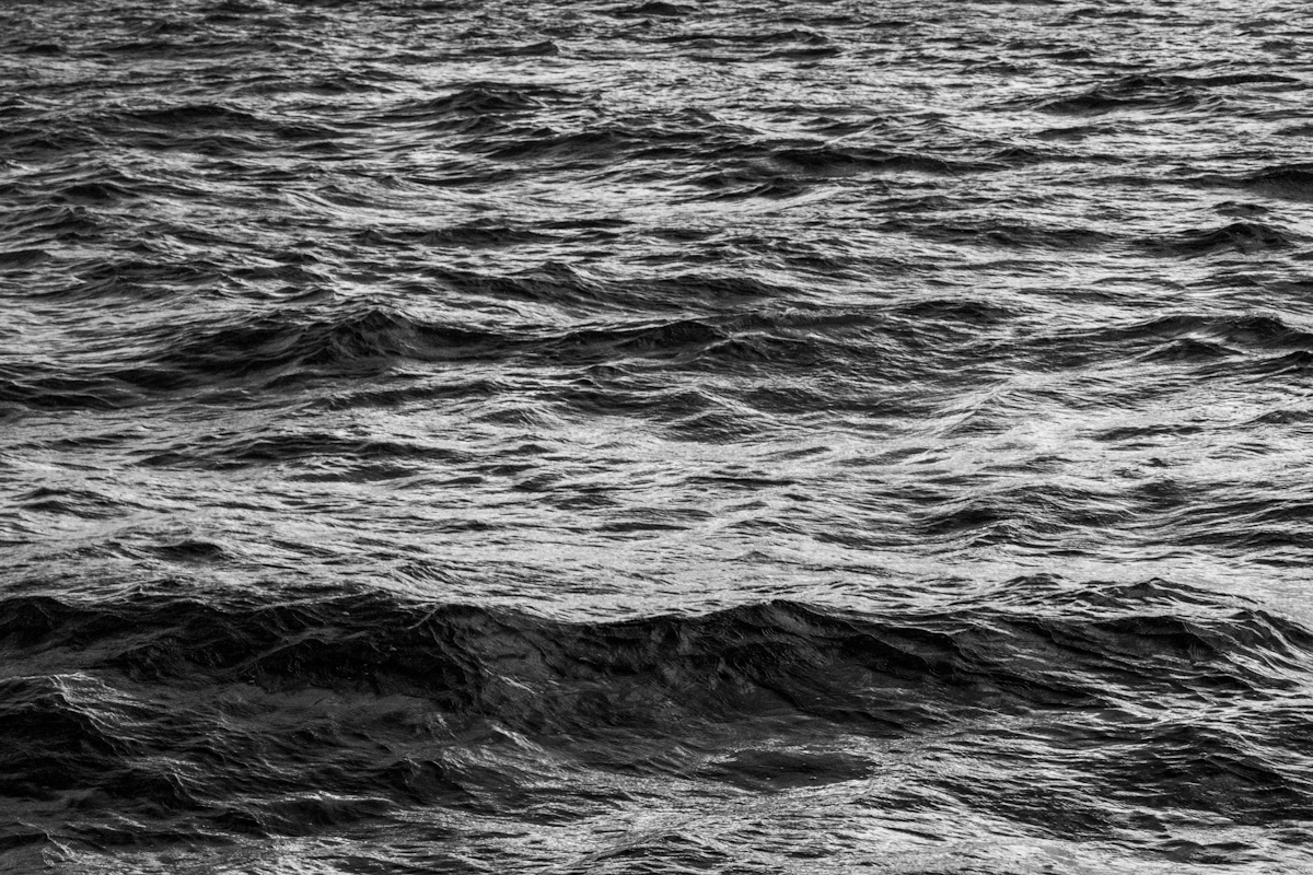 D75_3658-154sw.jpg