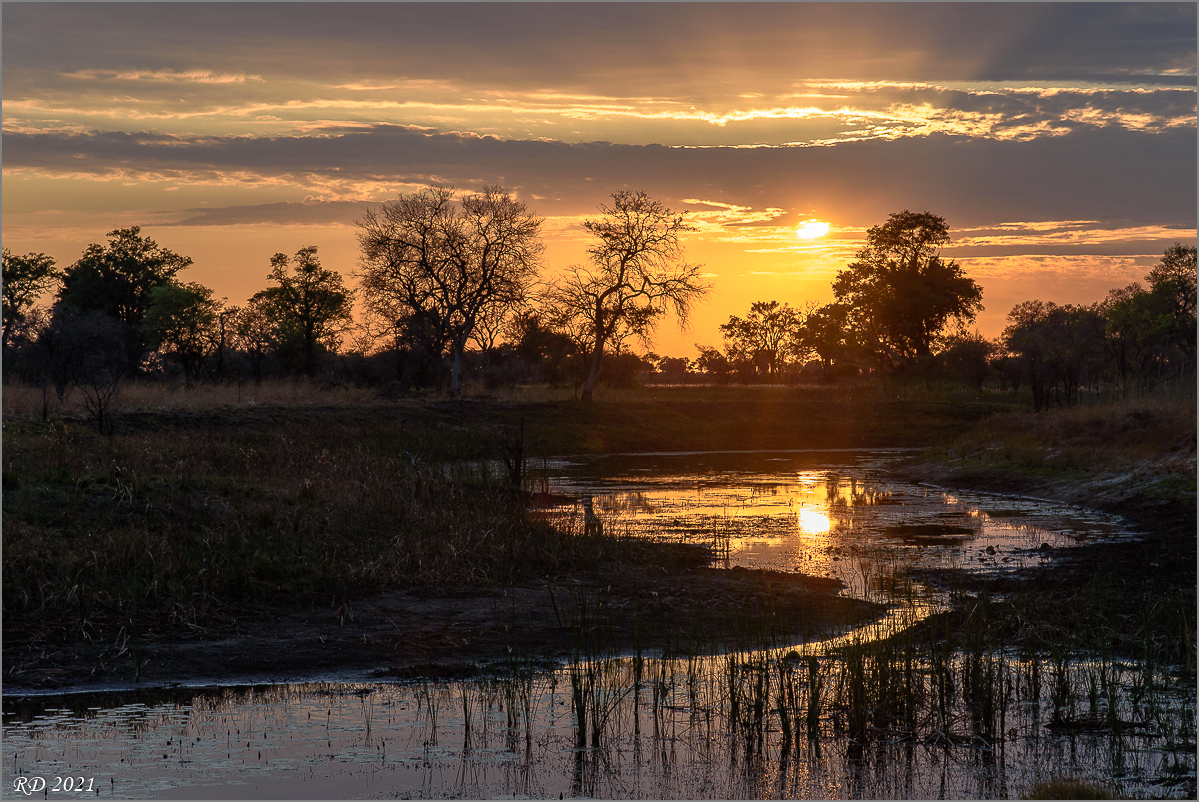 D75_3845.jpg