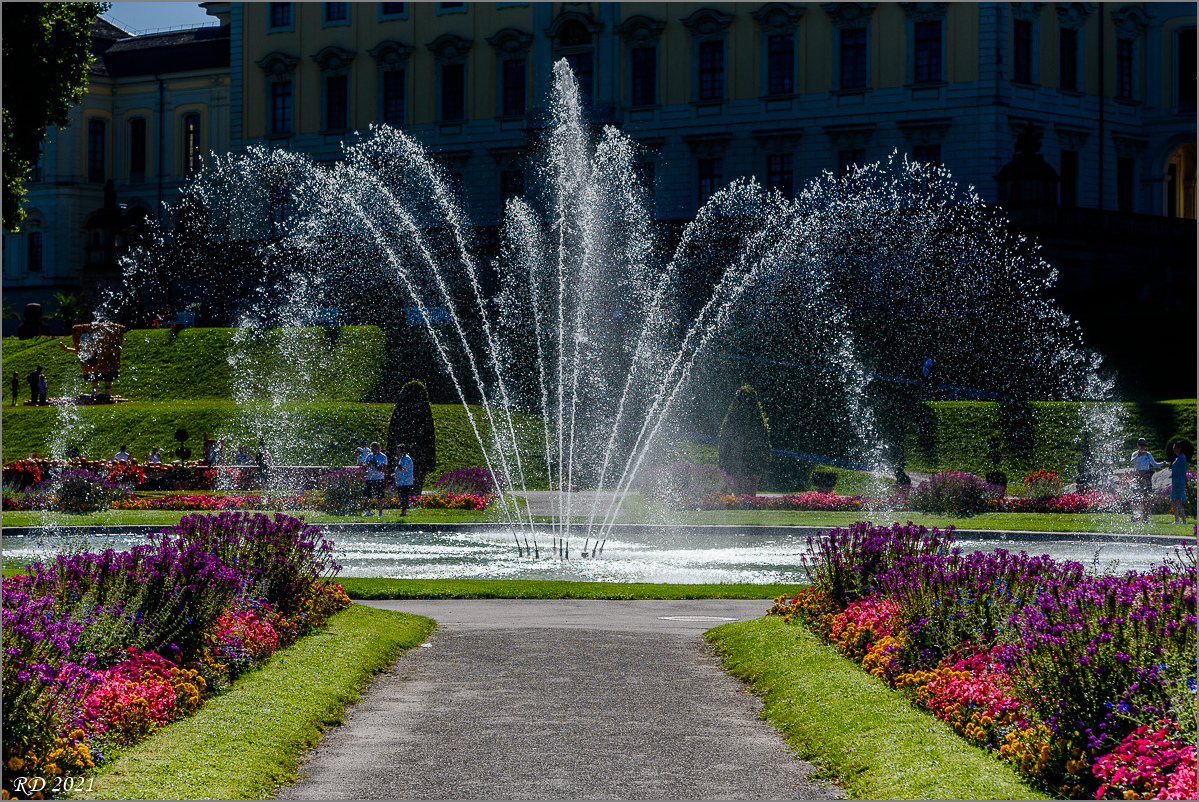 D75_4787.jpg