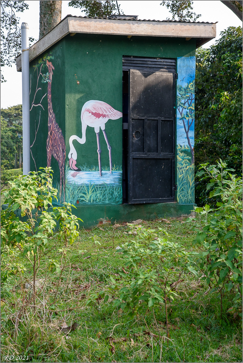 D75_6521.jpg