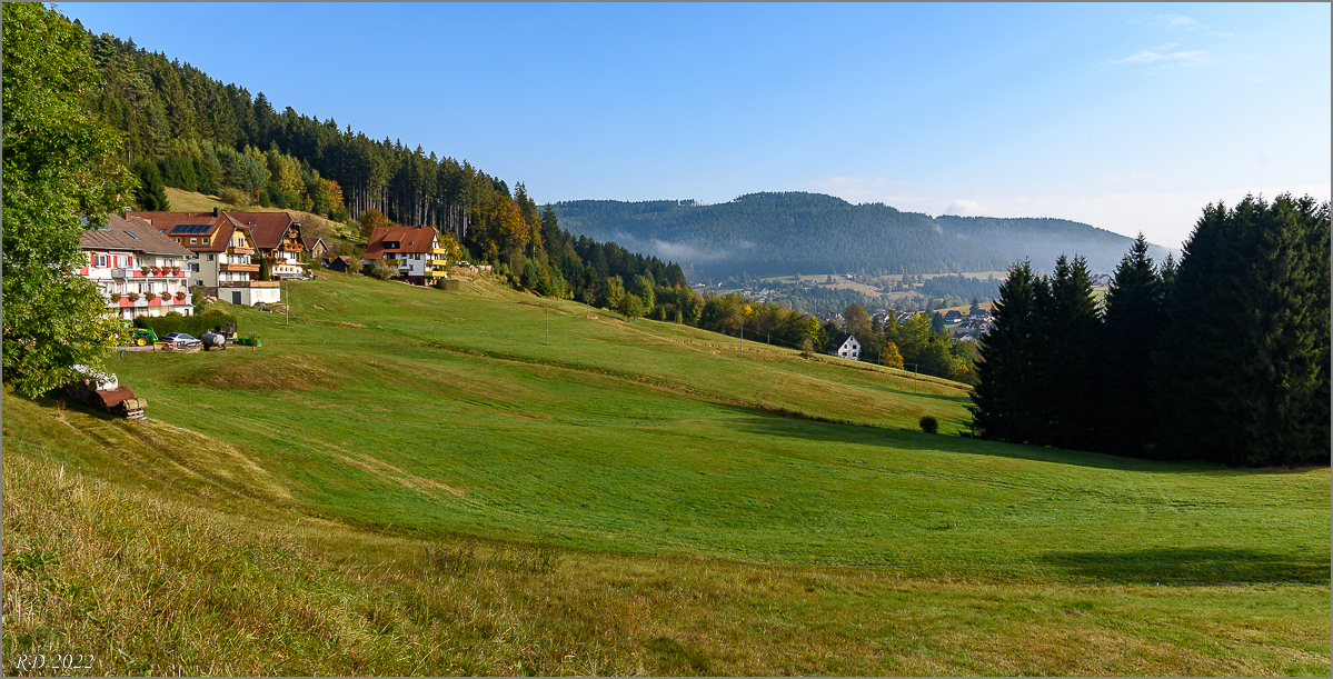 D75_6723.jpg