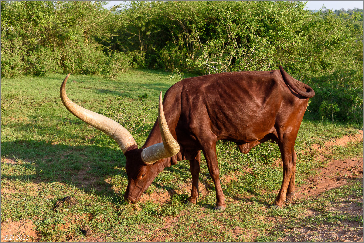 D75_6776.jpg