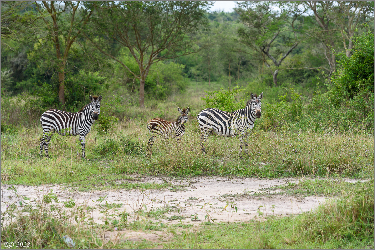 D75_6912.jpg