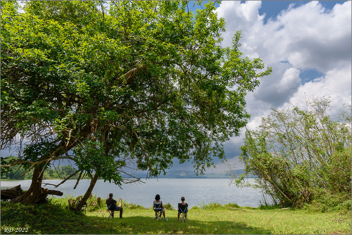 D75_6933.jpg