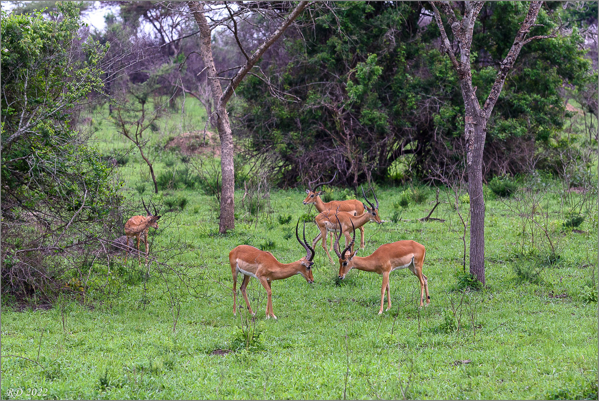D75_7044.jpg