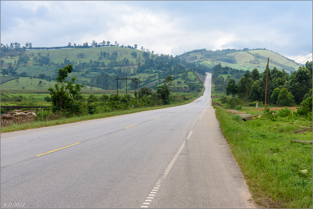 D75_7097.jpg