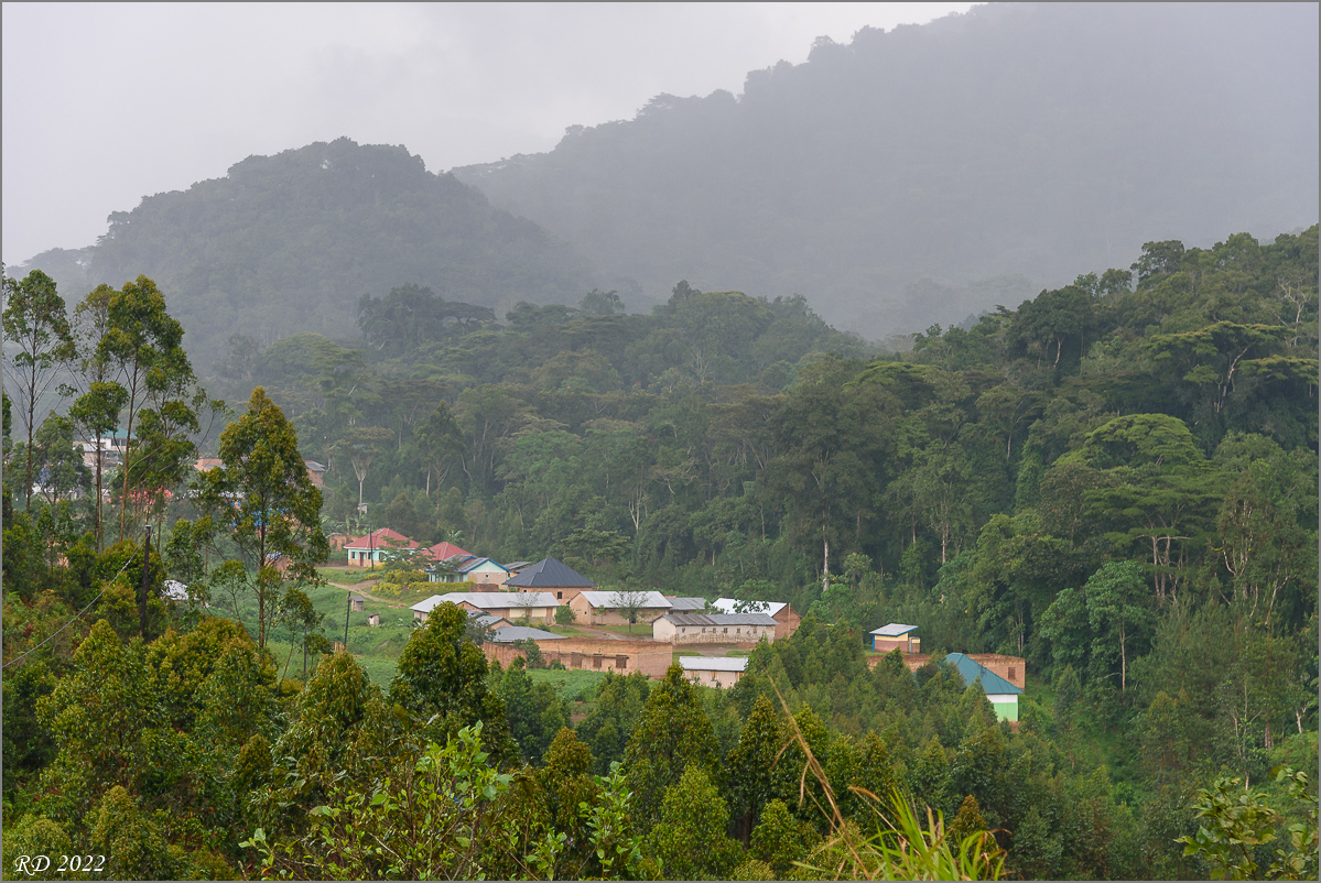 D75_7175.jpg
