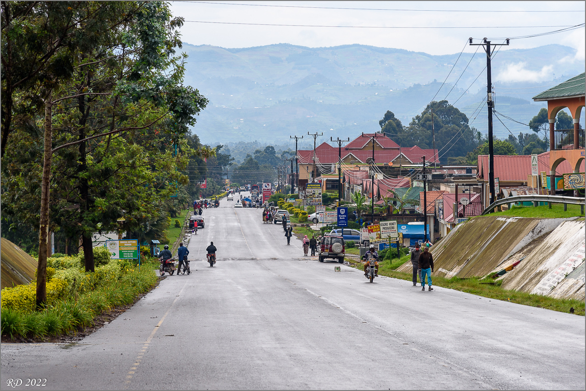 D75_7338.jpg