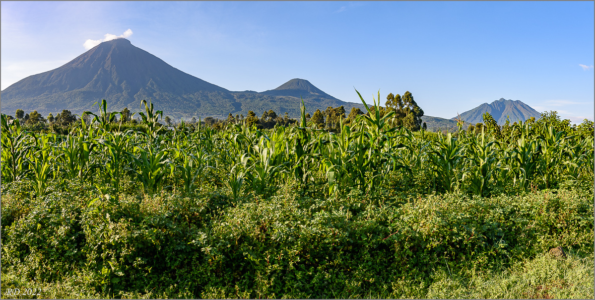 D75_7344-Pano.jpg