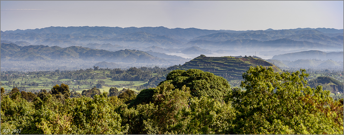 D75_7359-Pano.jpg