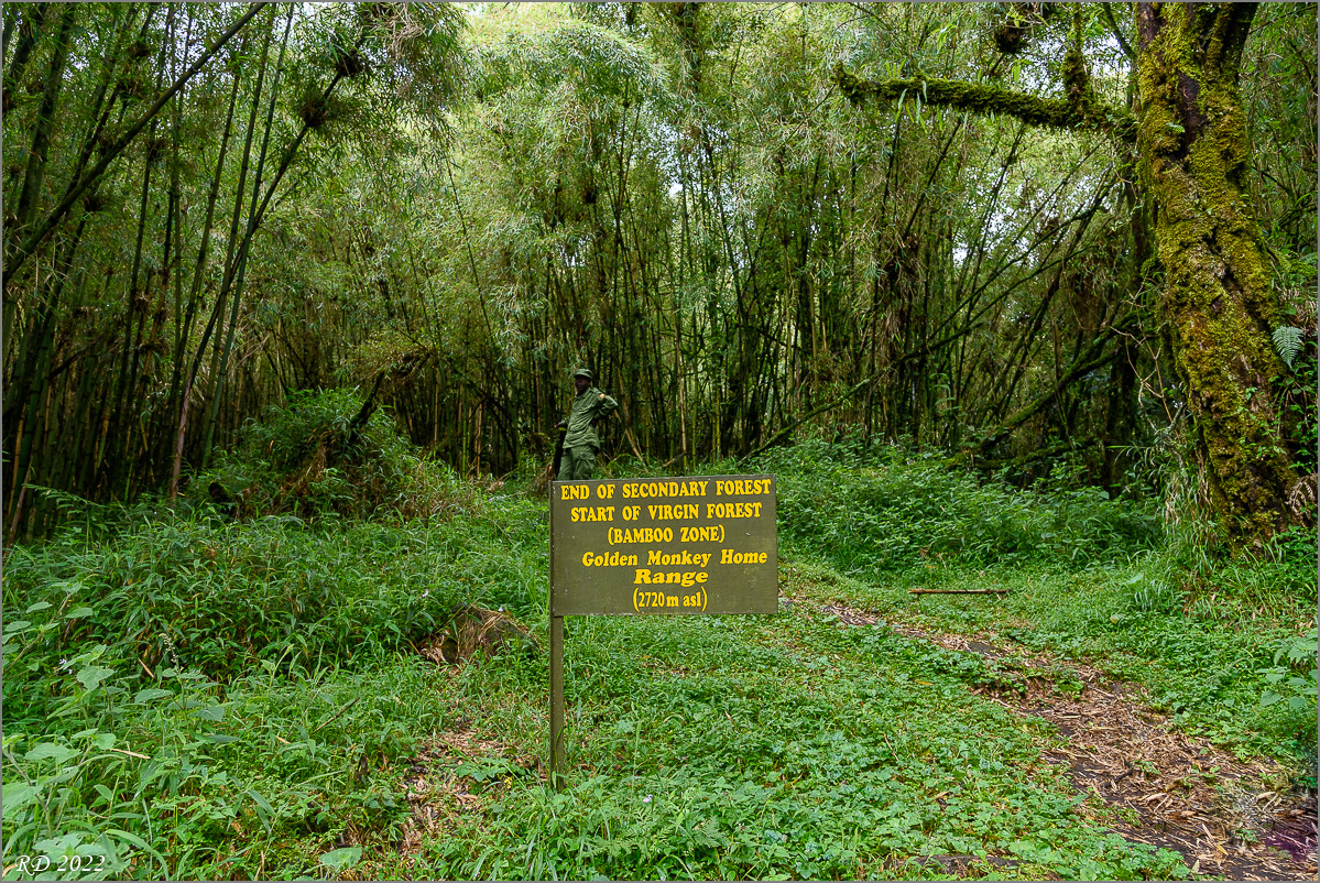 D75_7382.jpg