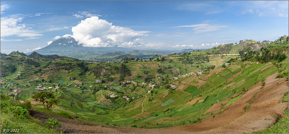 D75_7714-Pano.jpg