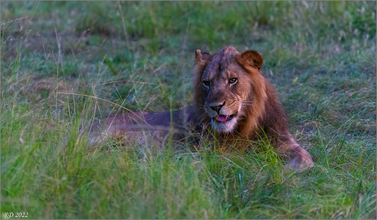 D75_7955-Bearbeitet-2.jpg