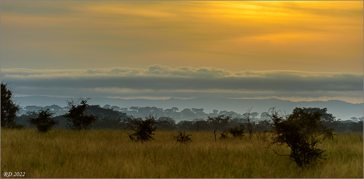 D75_7965.jpg