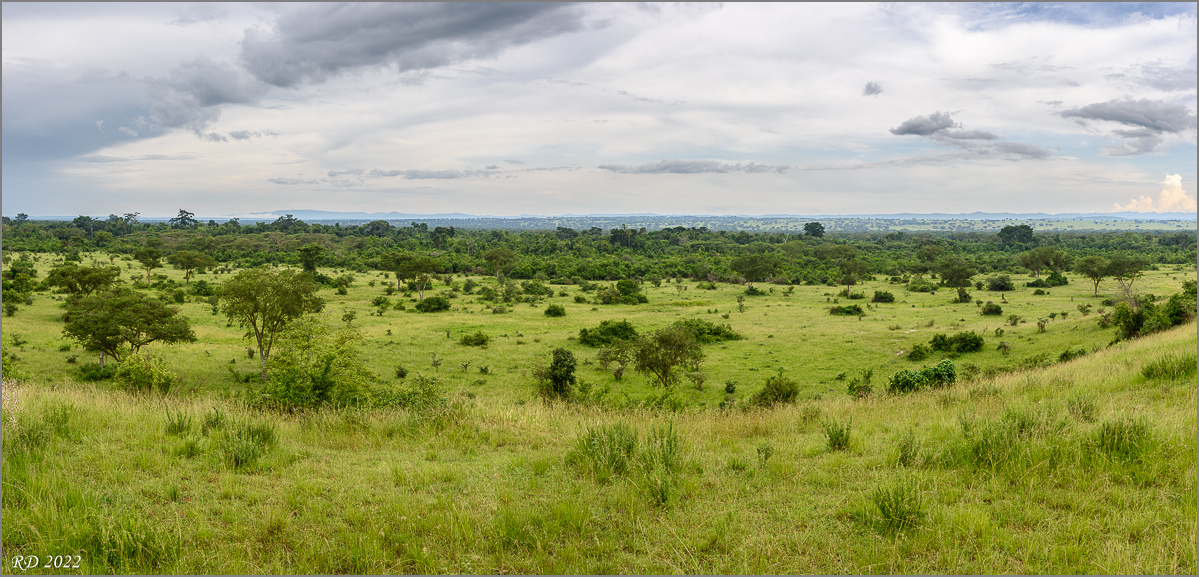 D75_8095-Pano.jpg