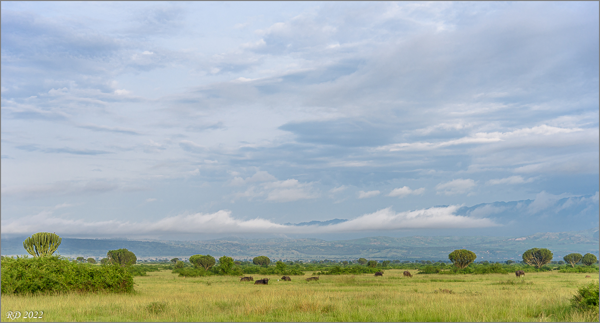 D75_8284.jpg