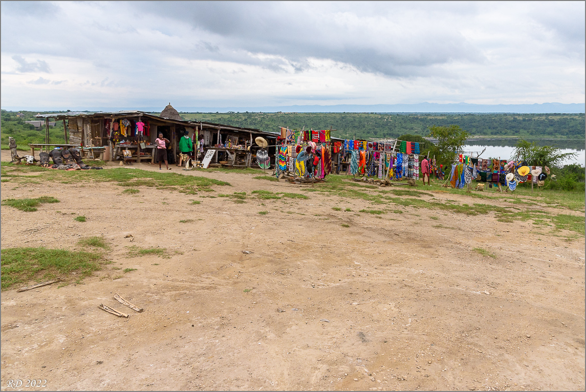 D75_8315.jpg