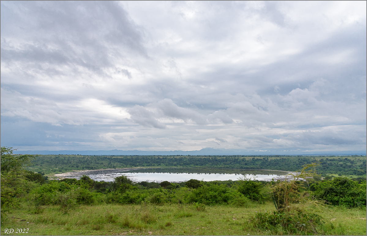 D75_8318.jpg