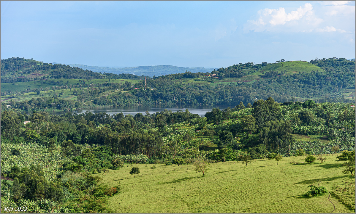 D75_8406.jpg