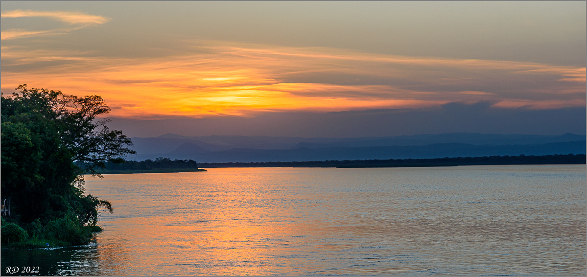 D75_8487.jpg
