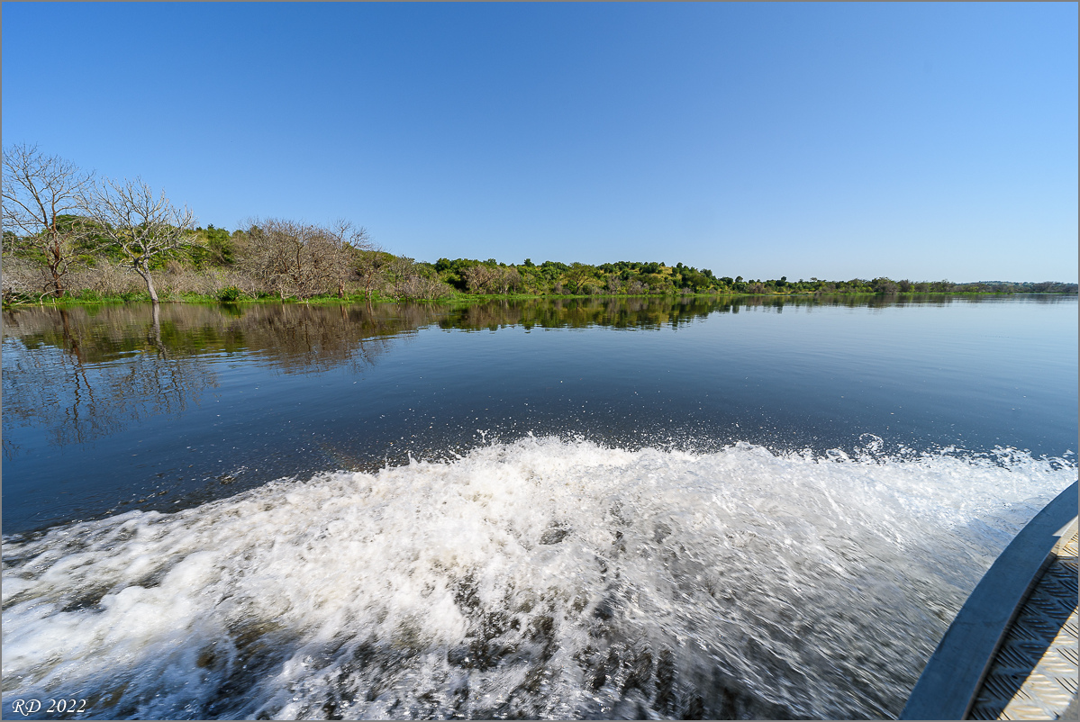 D75_8508.jpg