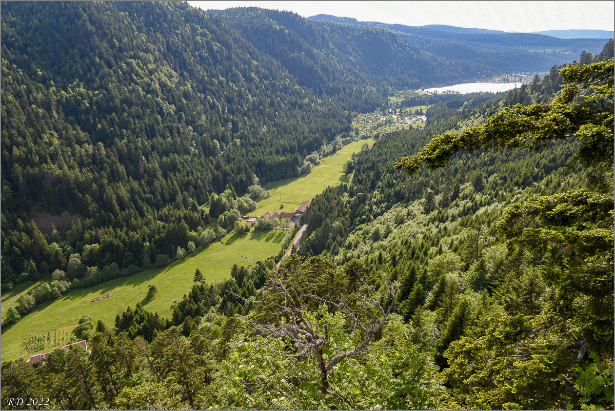 D75_8690.jpg