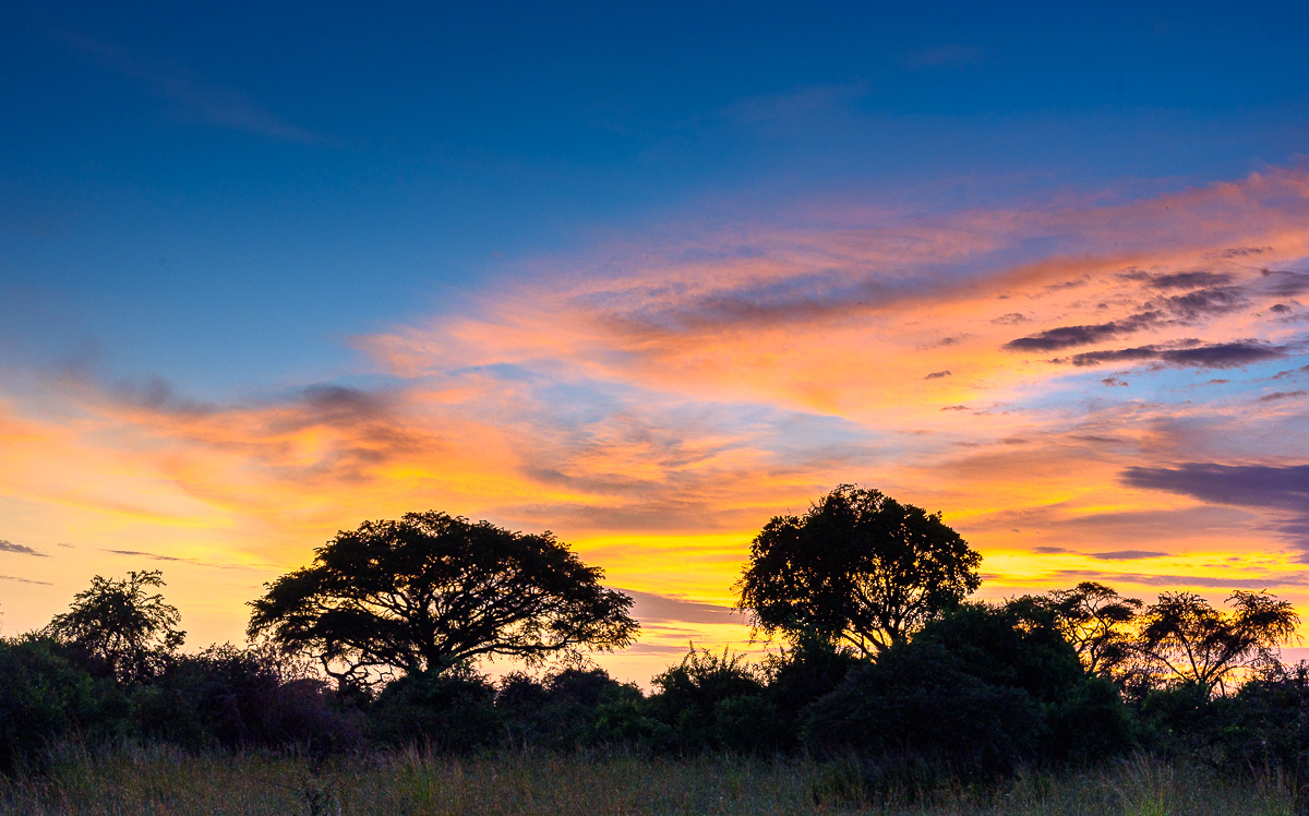 D75_8718-HDR.jpg