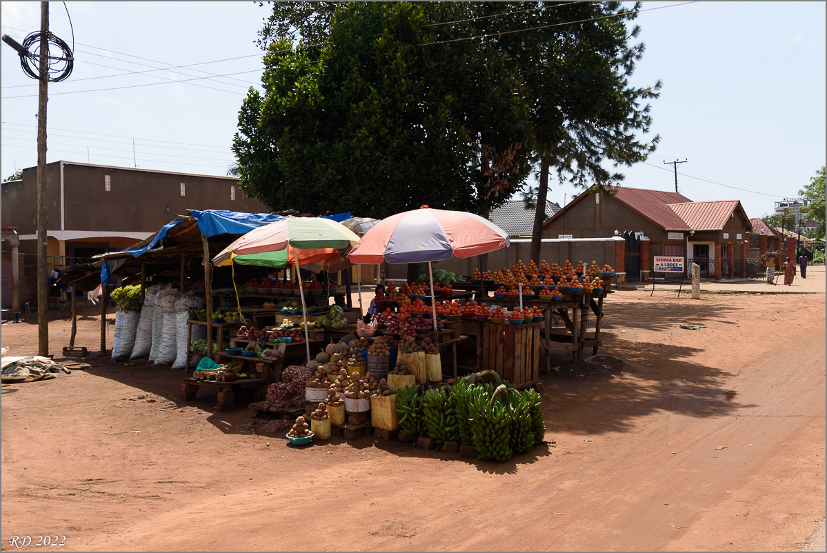 D75_9001.jpg