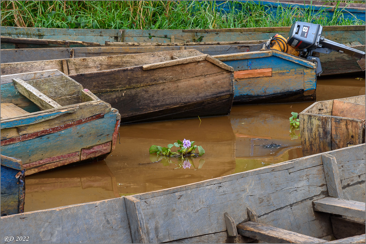 D75_9106.jpg