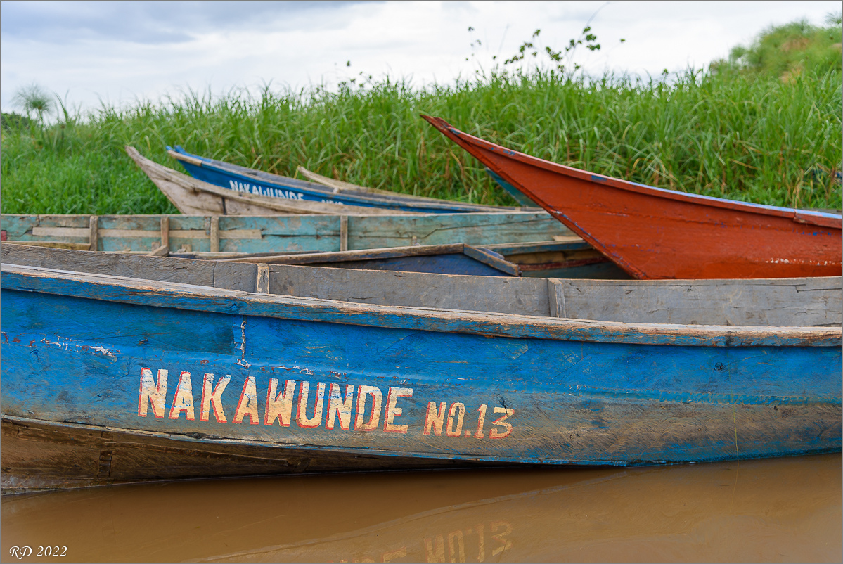 D75_9108.jpg