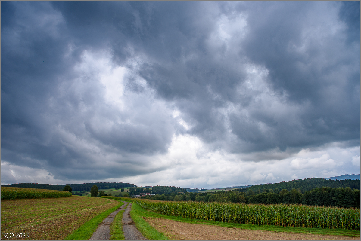 D75_9484.jpg