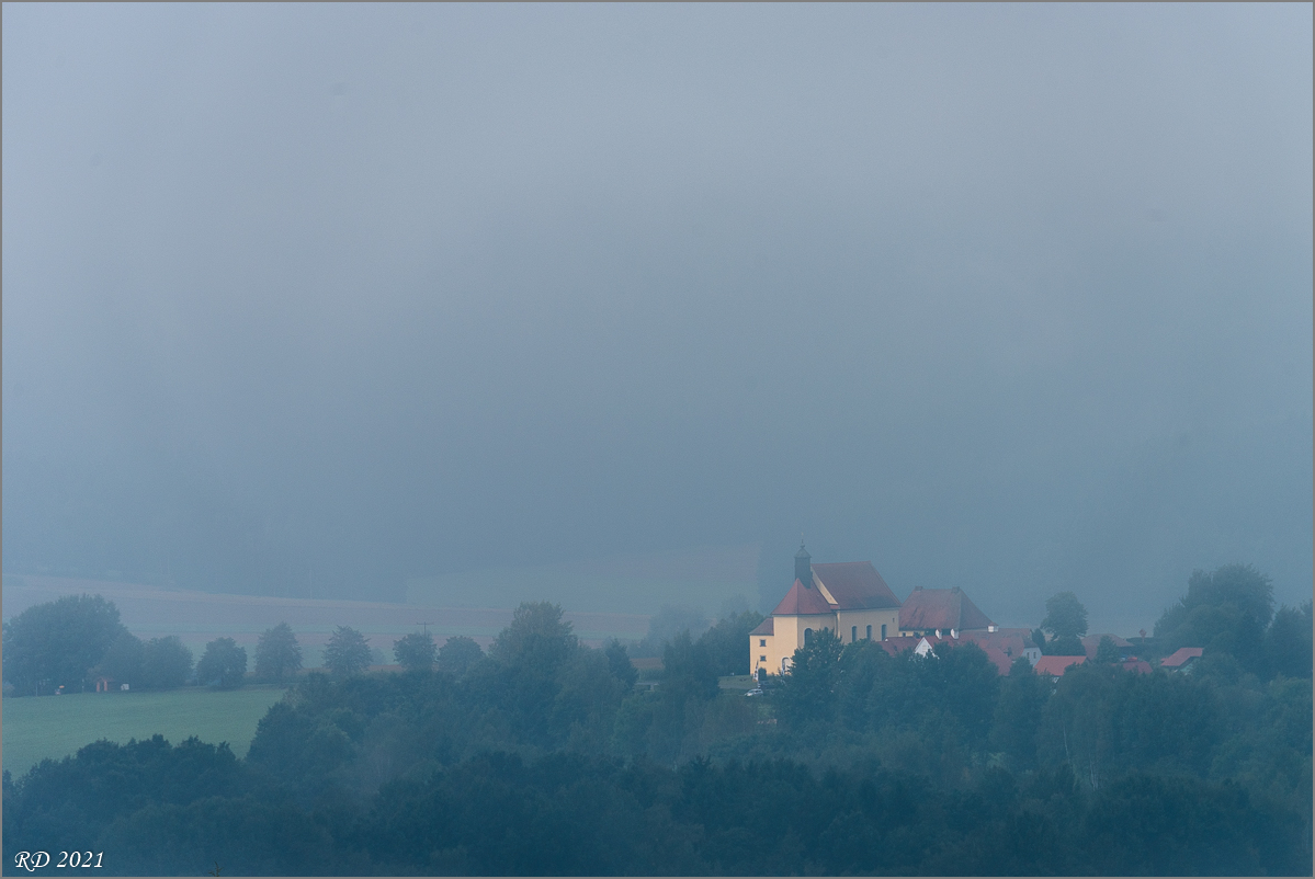 D75_9495.jpg