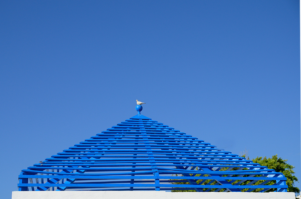 D7K 7003