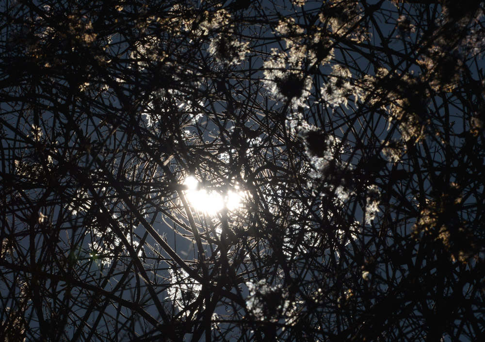 D80 0335k2
