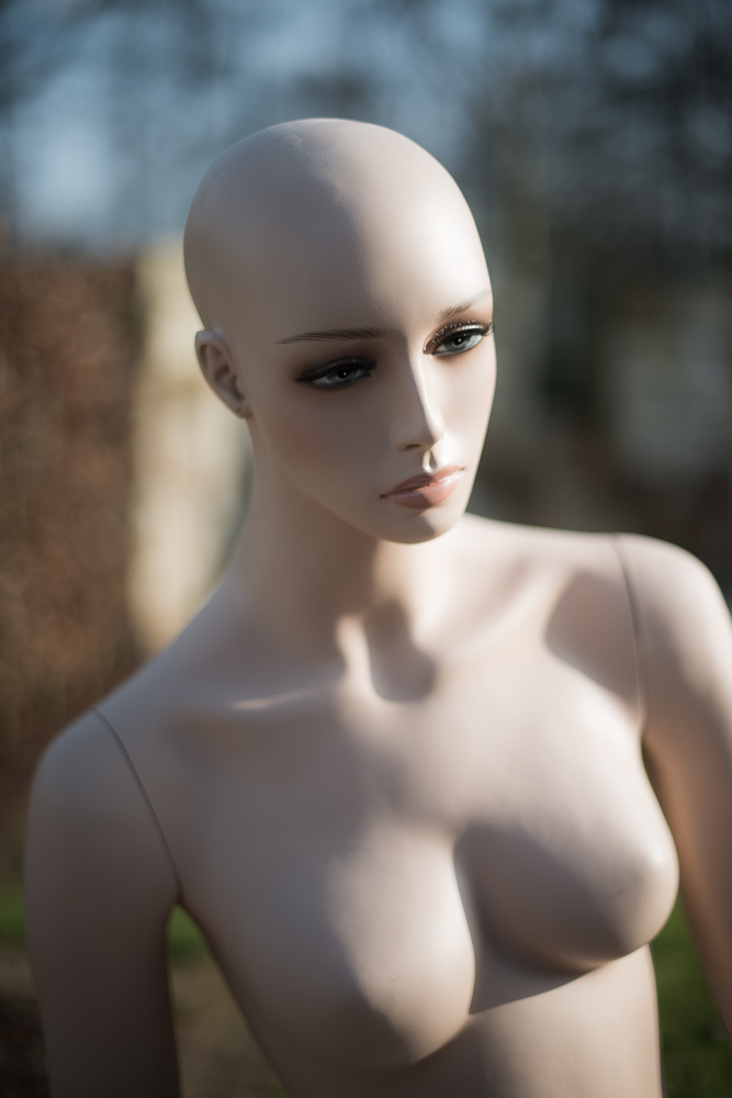 D80 8219