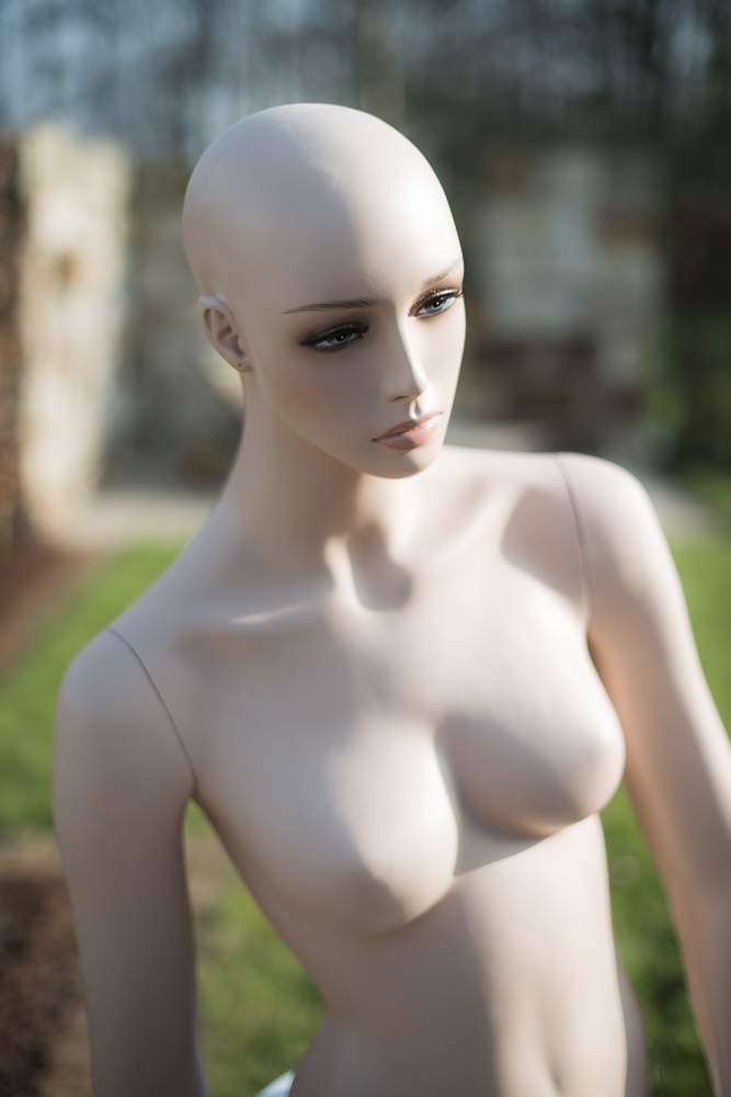 D80 8221