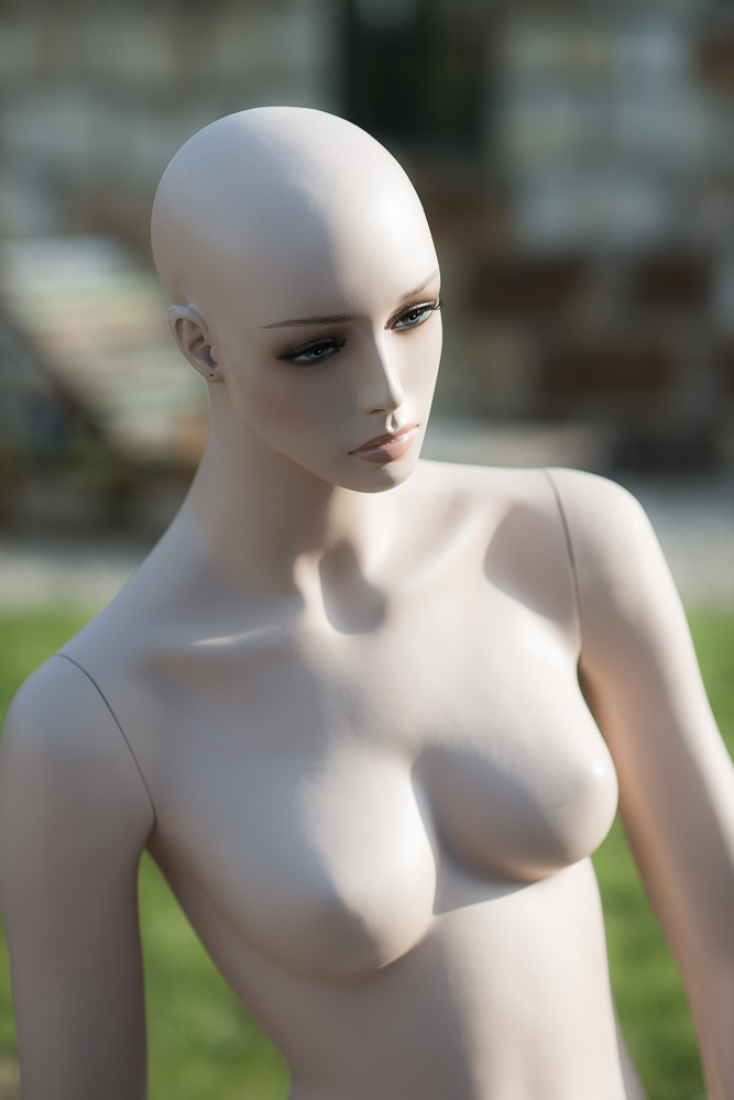D80 8229