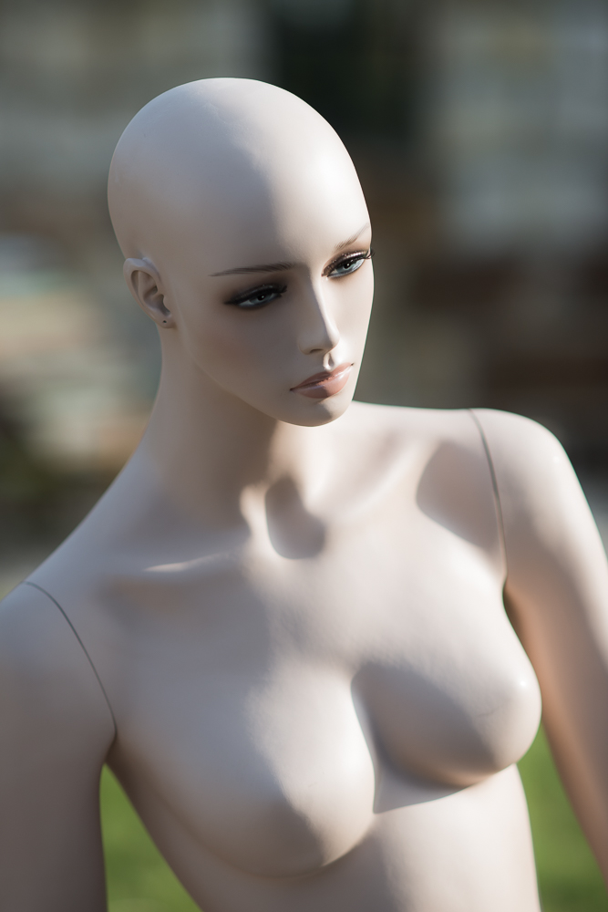 D80 8239