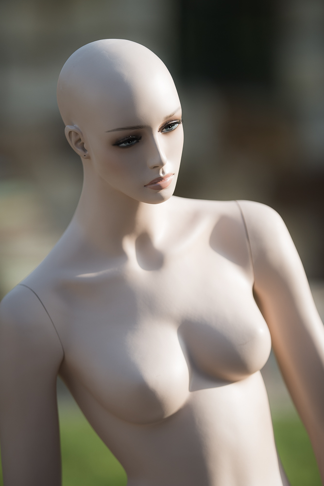 D80 8243