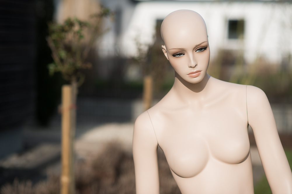 D80 8255