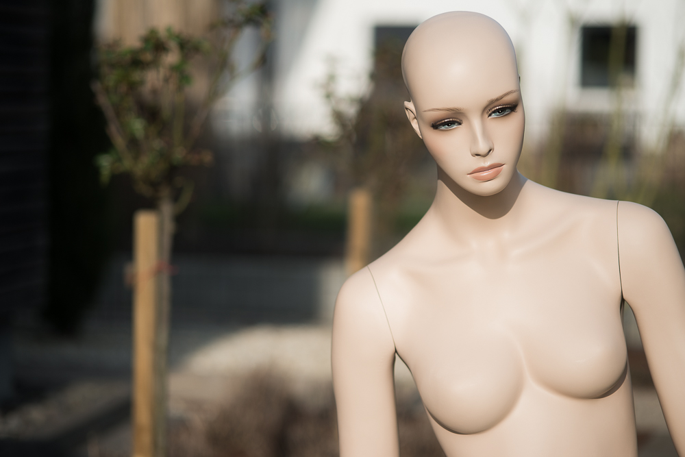 D80 8260