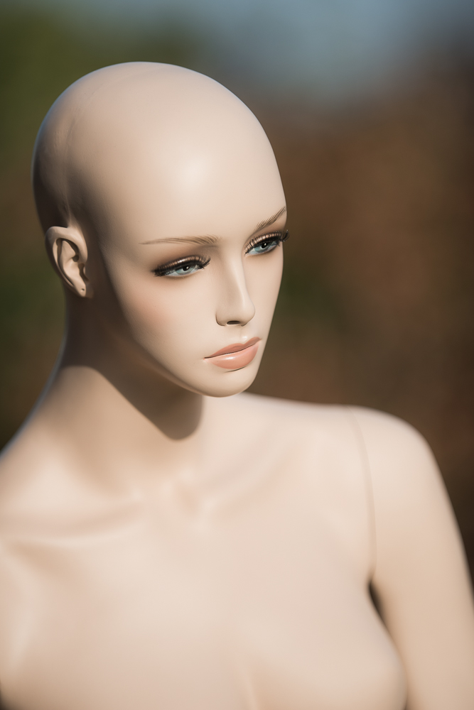 D80 8270