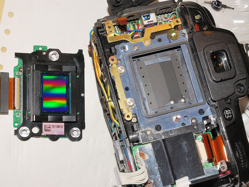 D80: Sensor ausgebaut