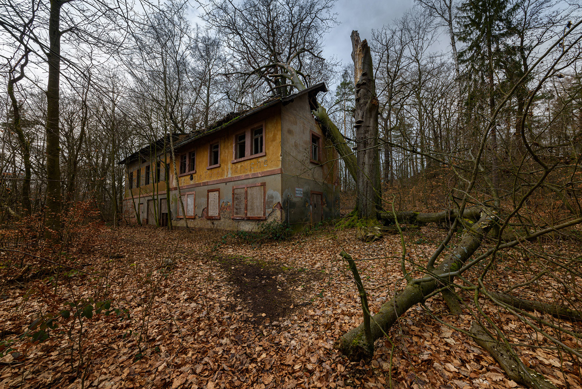 D81_1005.jpg