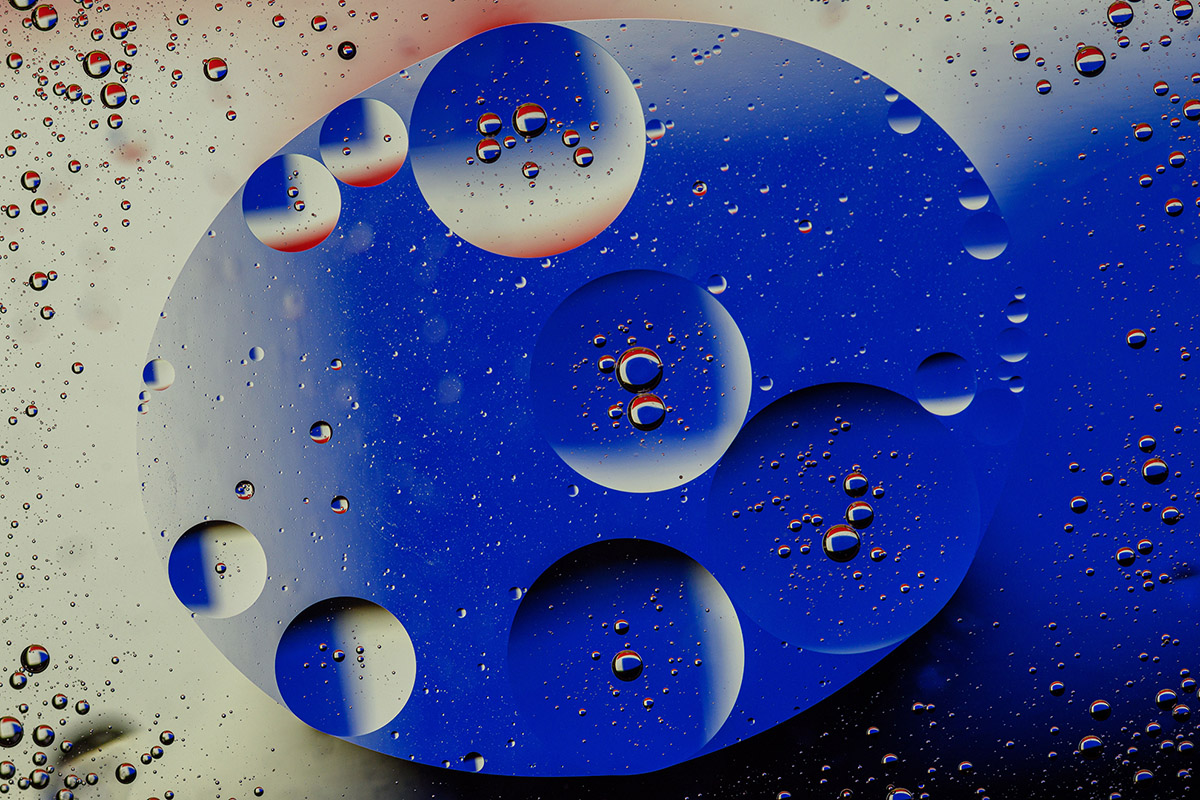 D81_1449_1.jpg