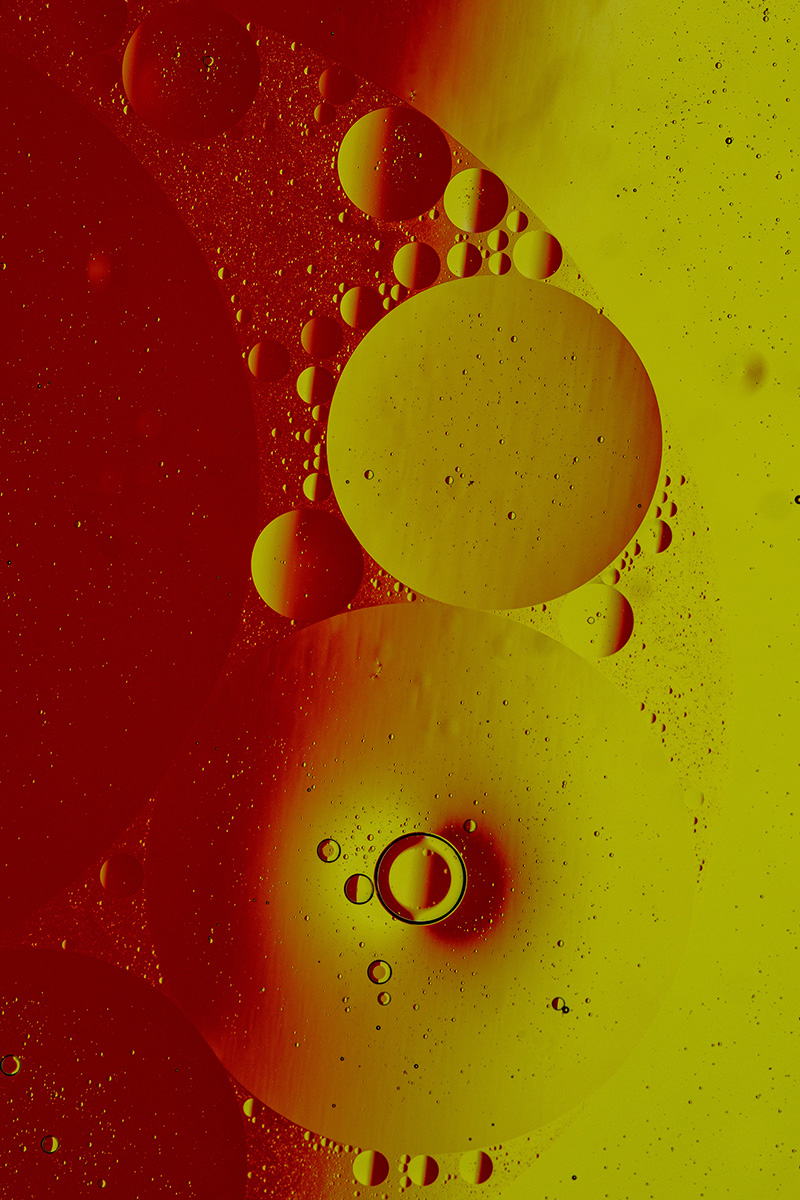 D81_1474.jpg